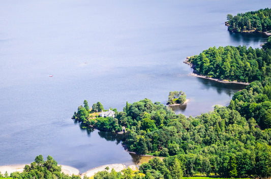 MLK: I have a dream… follows me.